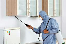 Pest Control Faridabad Services Areas